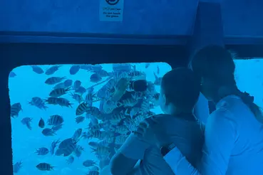 Батискаф + Снорклинг  в Хургаде ( полу - подводная лодка)